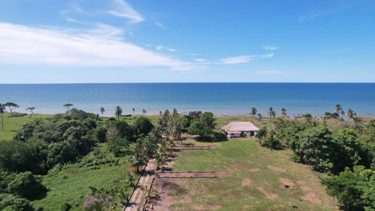 Aerial view of the Avista Beach coastal property, surrounding vegetation and Caribbean coastline